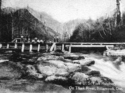 U.S. Fish Hatchery on Trask River, Tillamook, Ore.