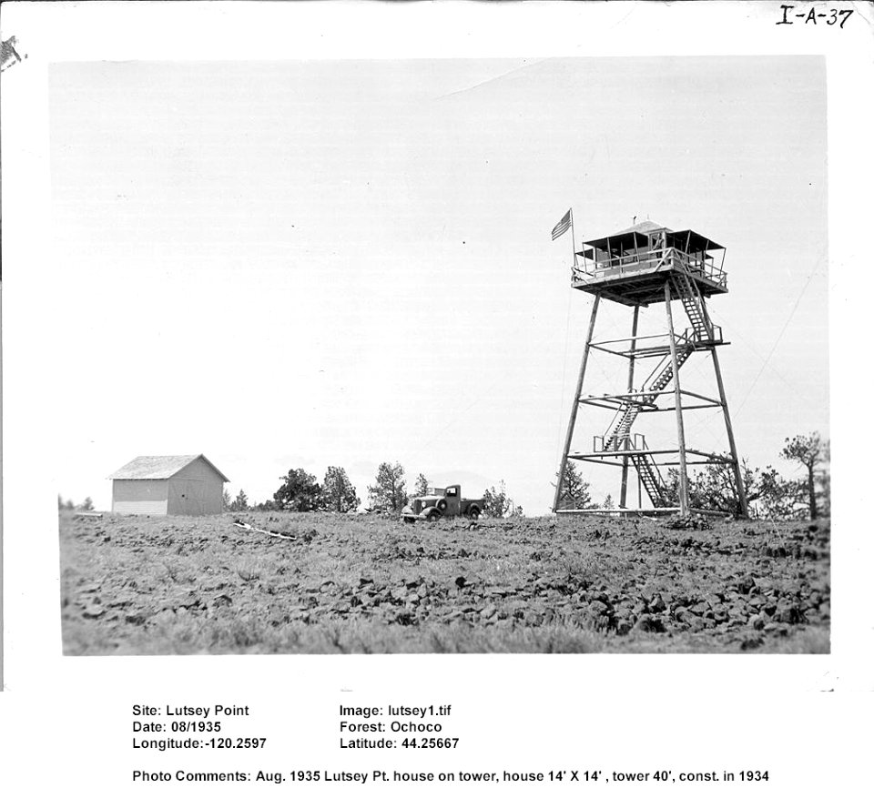 lutsey1