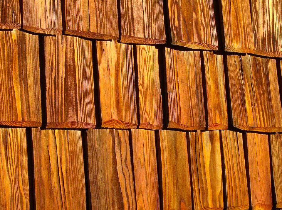 Close up structure datailaufnahme