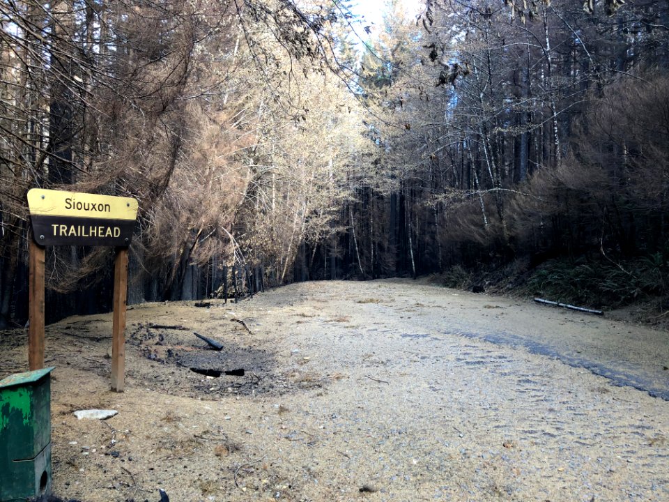 20200922 GPNF Siouxon Creek Trailhead post Big Hollow Fire 02 by Matt Mawhirter
