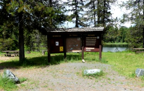 Colville NF Frater Lake June 2020 by Sharleen Puckett photo