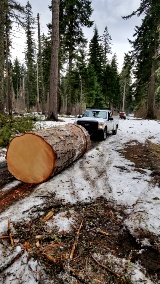 20200213 GiffordPinchot Road crew truck pulling a log off the road in Mt Adams district USDA Forest Service photo.