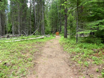 Colville NF Frater Lake June 2020 by Sharleen Puckett 17