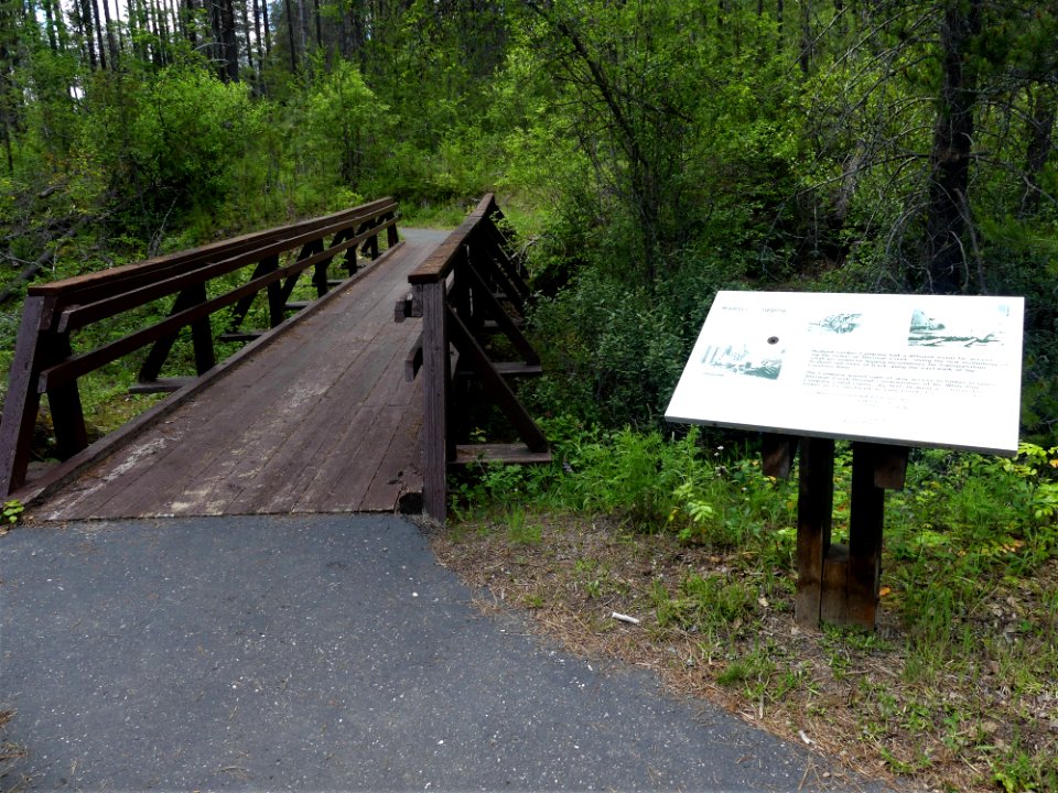 Colville NF log flume trail June 2020 by Sharleen Puckett 14