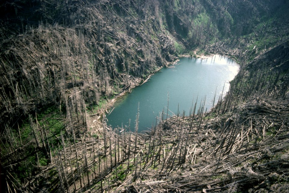 Gifford Pinchot National Forest, Mt St Helens NVM, blast zone,  Venus Lake.jpg