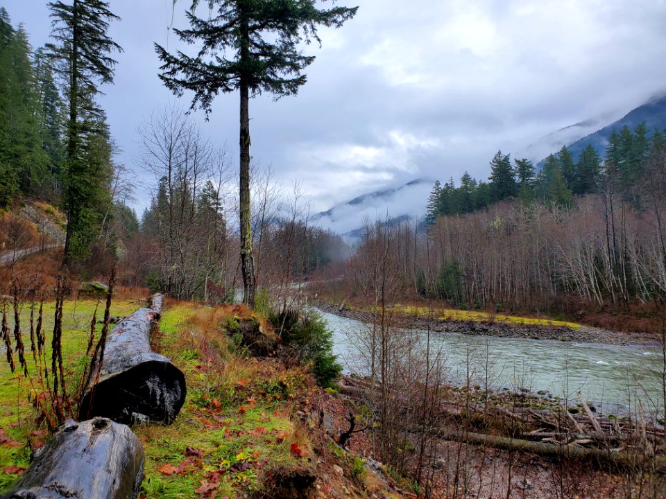 Suiattle River, Mt. Baker-Snoqualmie National Forest. Photo by Anne Vassar December 9, 2020.