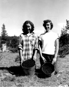 461787 Huckleberry Pickers, Surprise Lakes, GPNF, WA 1950 photo