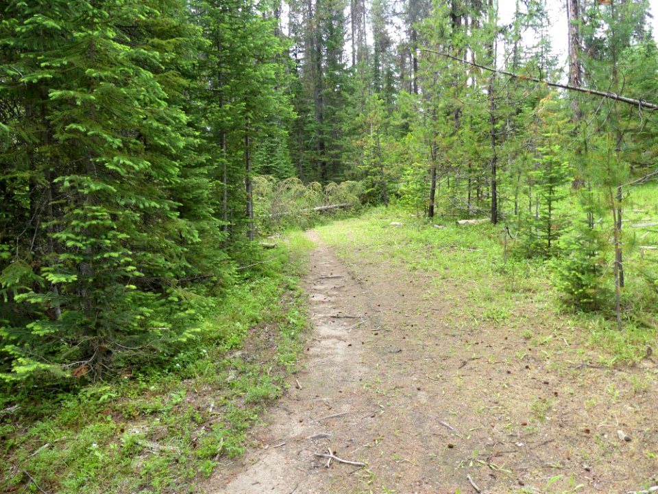 Colville NF Frater Lake June 2020 by Sharleen Puckett 8
