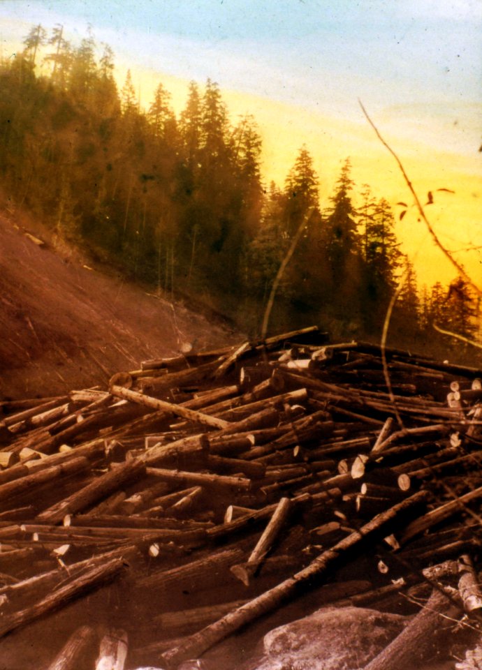 204108 Hays TS, Siskiyou NF 1925