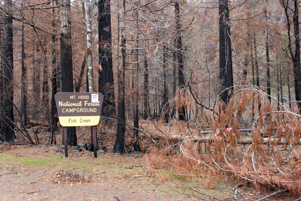 Fish Creek Campground, Riverside Fire, Mt. Hood National Forest