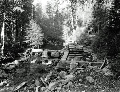 964 Hemlock RS Water Supply in Trout Cree, GPNF, WA 9-10-1952