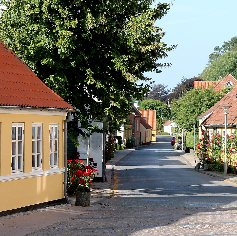 Road denmark flowers