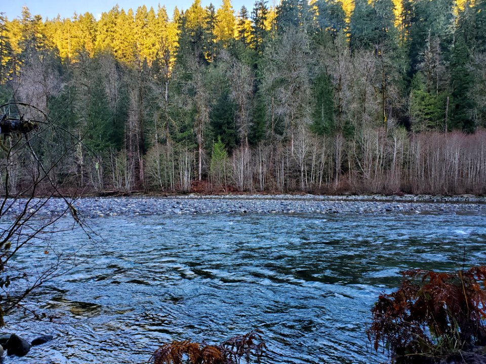 Autumn on the Old Sauk Trail, Mt. Baker-Snoqualmie National Forest.  Photo by Anne Vassar December 1, 2020.