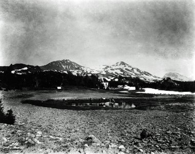 Willamette NF - Three Sisters, OR c1925
