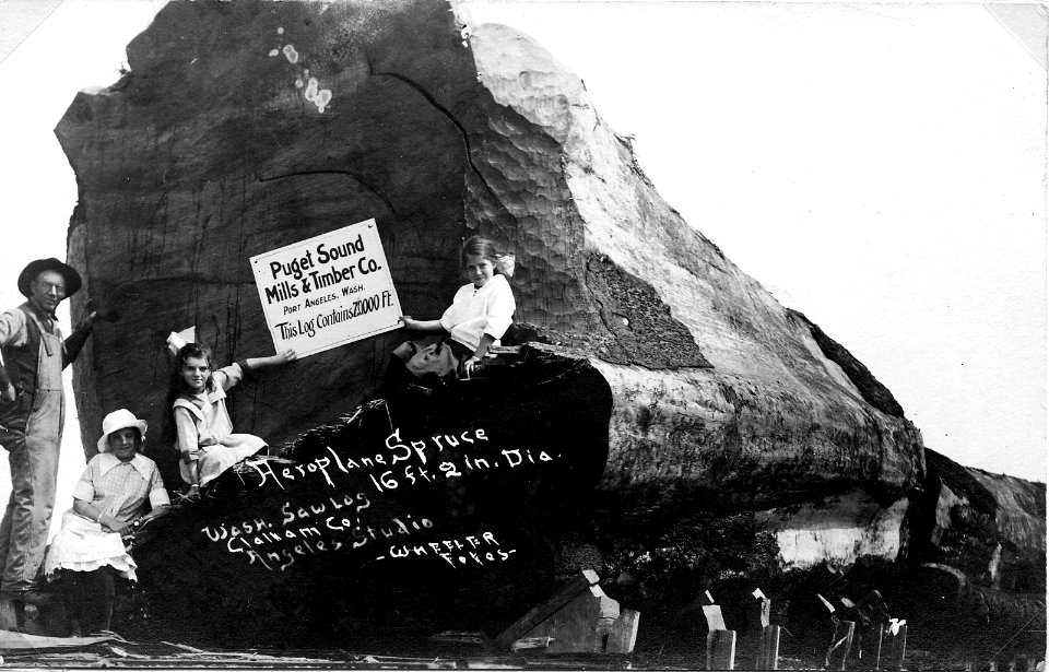 Aeroplane Spruce Log on RR Car - Wheeler Photo