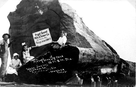 Aeroplane Spruce Log on RR Car - Wheeler Photo