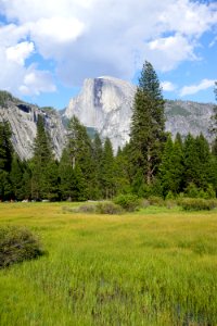 Yosemite, CA (Unedited)