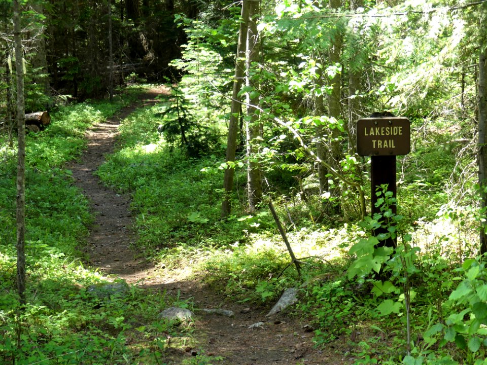 Colville NF Big Meadow Lake Trail lakeside sign June 2020 by Sharleen Puckett
