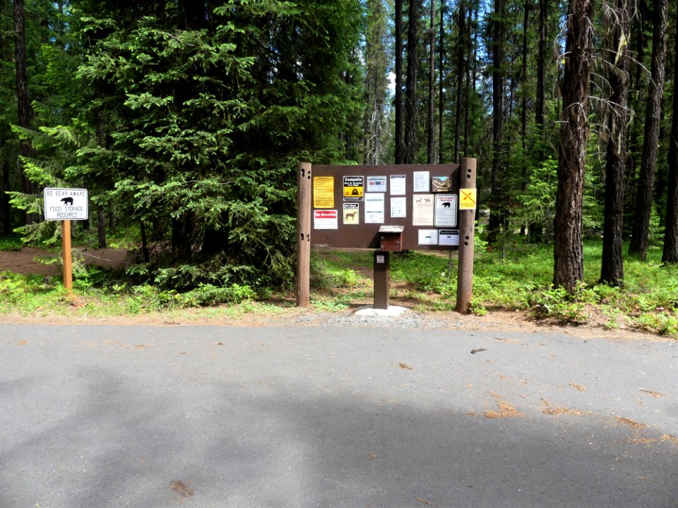 Colville NF Gillette Lake Campground June 2020 by Sharleen Puckett 7