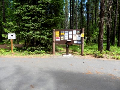 Colville NF Gillette Lake Campground June 2020 by Sharleen Puckett 7 photo