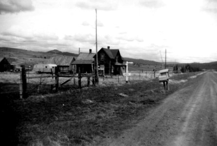 Grizzly, Oregon 1950