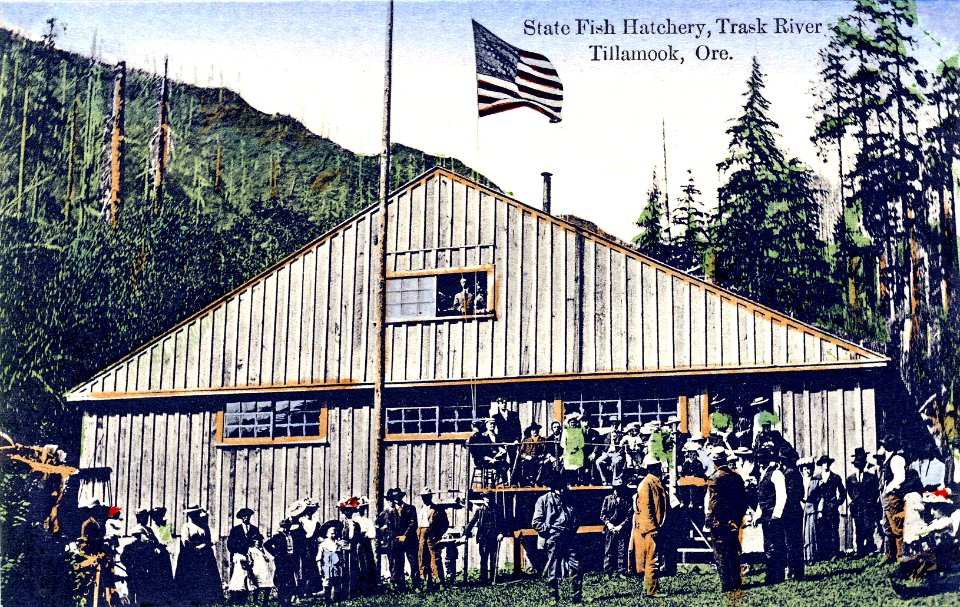 Trask River State Fish Hatchery, Tillamook, Ore.