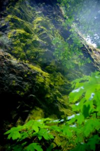ONEONTA GORGE SPECIAL USE COLUMBIA RIVER GORGE-141