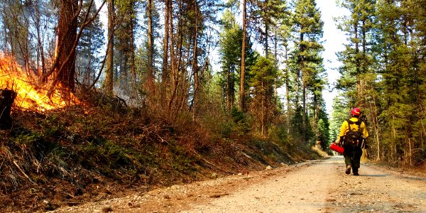 2019-May-deLeon-ColvilleNF-Vulcan-rx-fire2