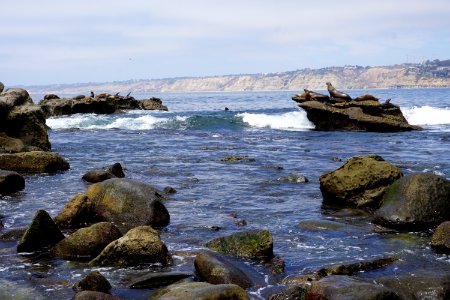 La Jolla Cove, CA (Unedited)