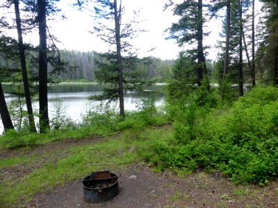 Colville NF Ferry Lake June 2020 by Sharleen Puckett 7
