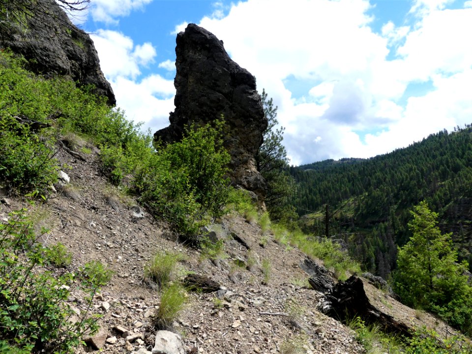 Colville NF - 10-mile trail - hoodoo - June 2020 - Sharleen Puckett