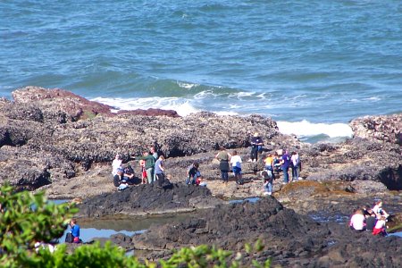 Cape Perpetua Visitors walking in Mussel Fields, Siuslaw National Forest