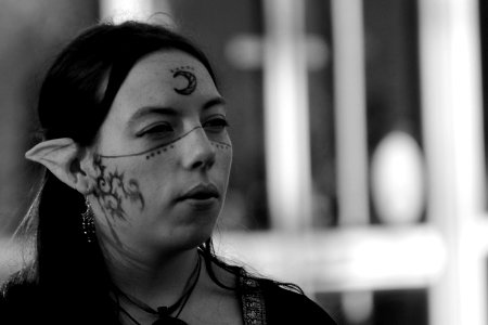 Festival fous et marché d'histoire Nantes