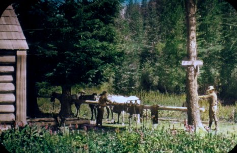 213139 Quartz Mtn. RS, Umpqua NF 1926 photo