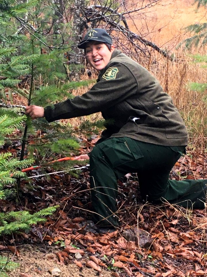 201912 Gifford Pinchot Holiday Tree Cutting in December.