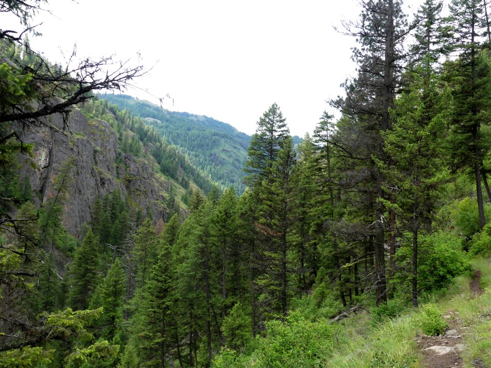 13 Mile Trail June 2020 vista by Sharleen Puckett