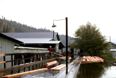 Gifford Pinchot National Forest, Broughton lumber mill and flume, Hood WA-3.jpg