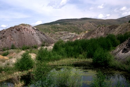 Gifford Pinchot National Forest, Mt St Helens NVM, pond and hummocks.jpg photo