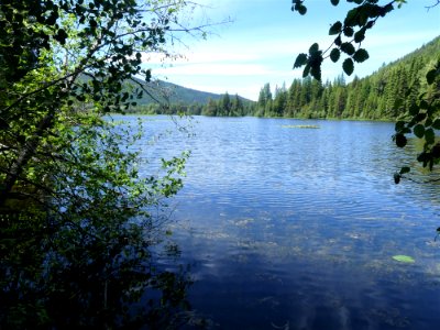 Big Meadow Lake Campground lake shade June 2020 by Sharleen Puckett