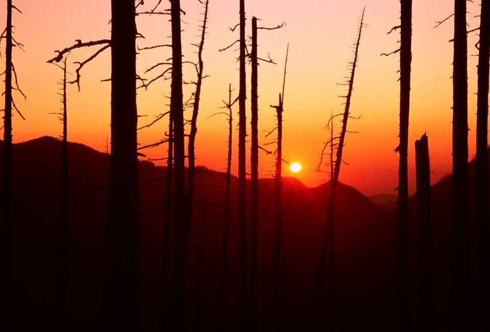 Gifford Pinchot National Forest, Gifford Pinchot National Forest, Mt St Helens NVM.jpg