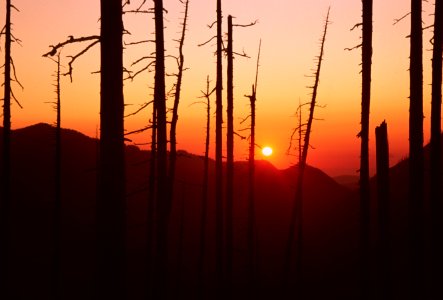 Gifford Pinchot National Forest, Gifford Pinchot National Forest, Mt St Helens NVM.jpg