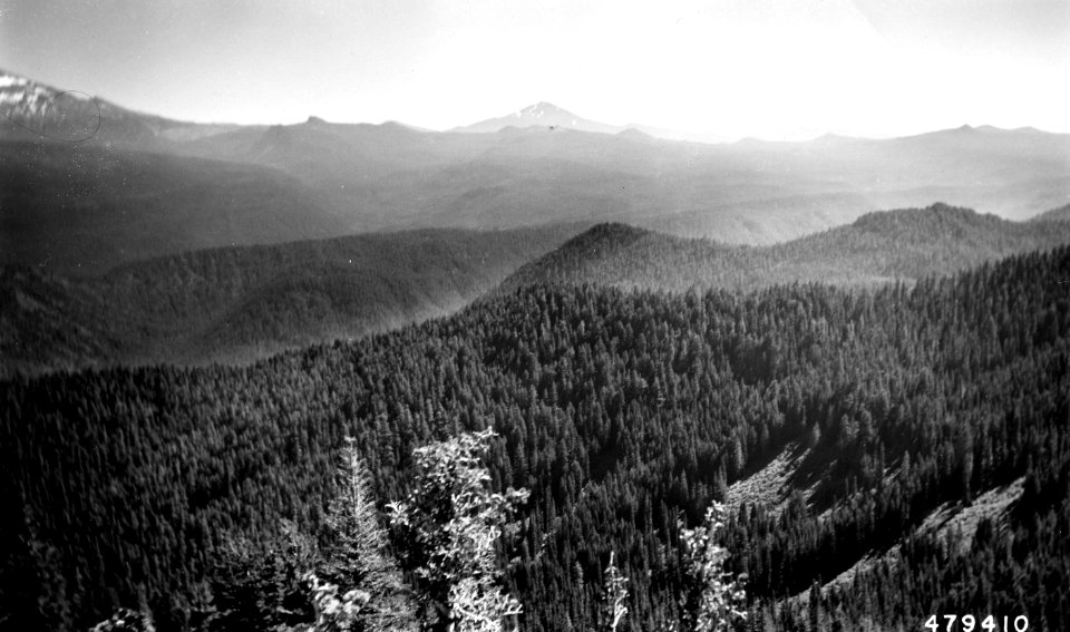 479410 View from Horsepasture Mtn, Willamette NF, OR 1952 photo
