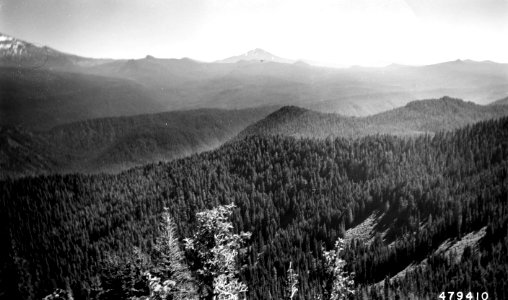 479410 View from Horsepasture Mtn, Willamette NF, OR 1952 photo