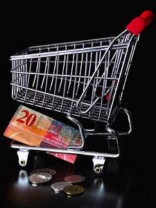 Shopping cart basket bassinet