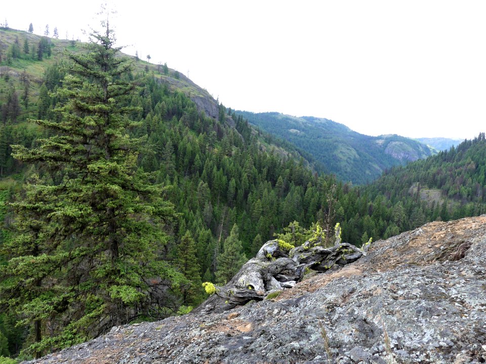13 Mile Trail June 2020 rocky by Sharleen Puckett