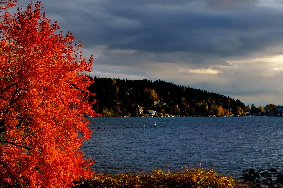 Burke Gilman Trail Kenmore WA