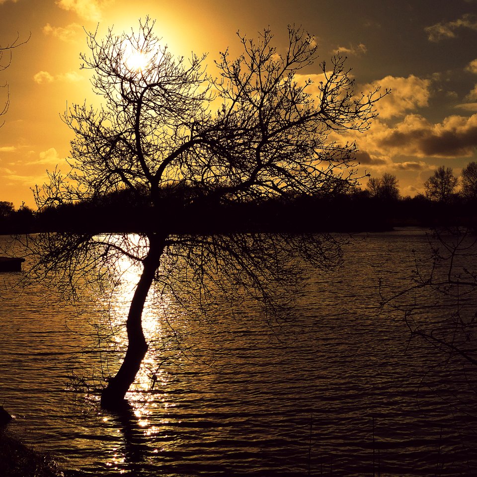 Bords de Loire 03-03-2018 18-28-46