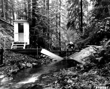 475357 Measuring Streamflow, HJAEF, Willamette NF, OR 1953