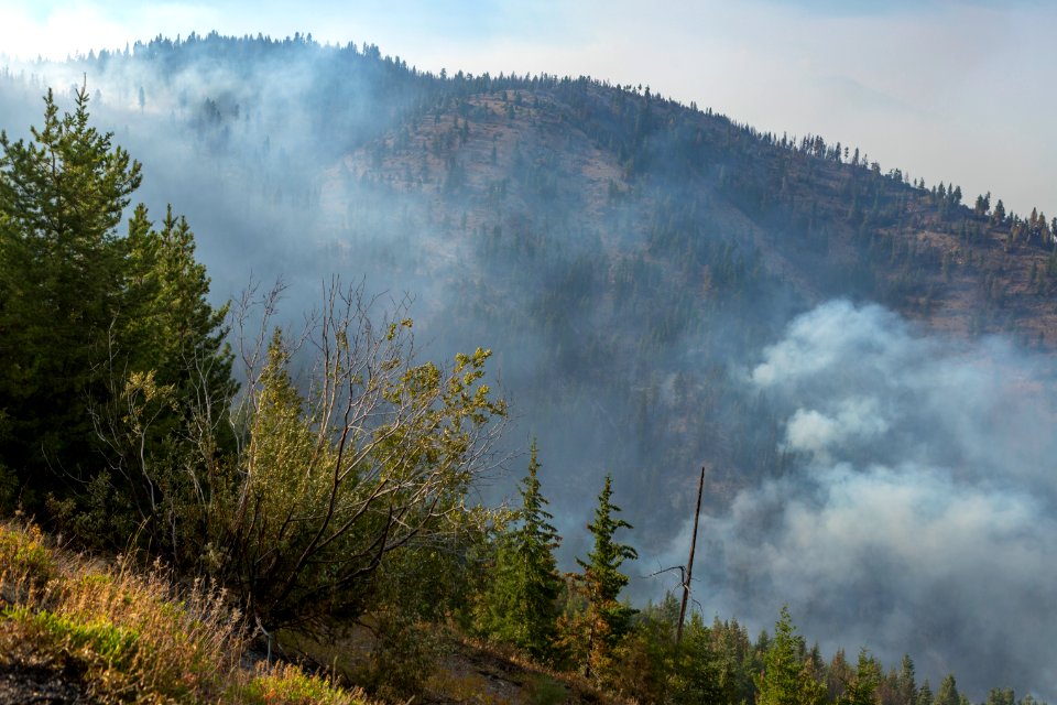 20180817-FS-Okanogan-KG-0395