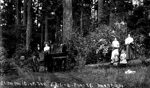Calapooia Divide, Family & Wagon, Cascade-Umpqua NFs, OR 1912 photo